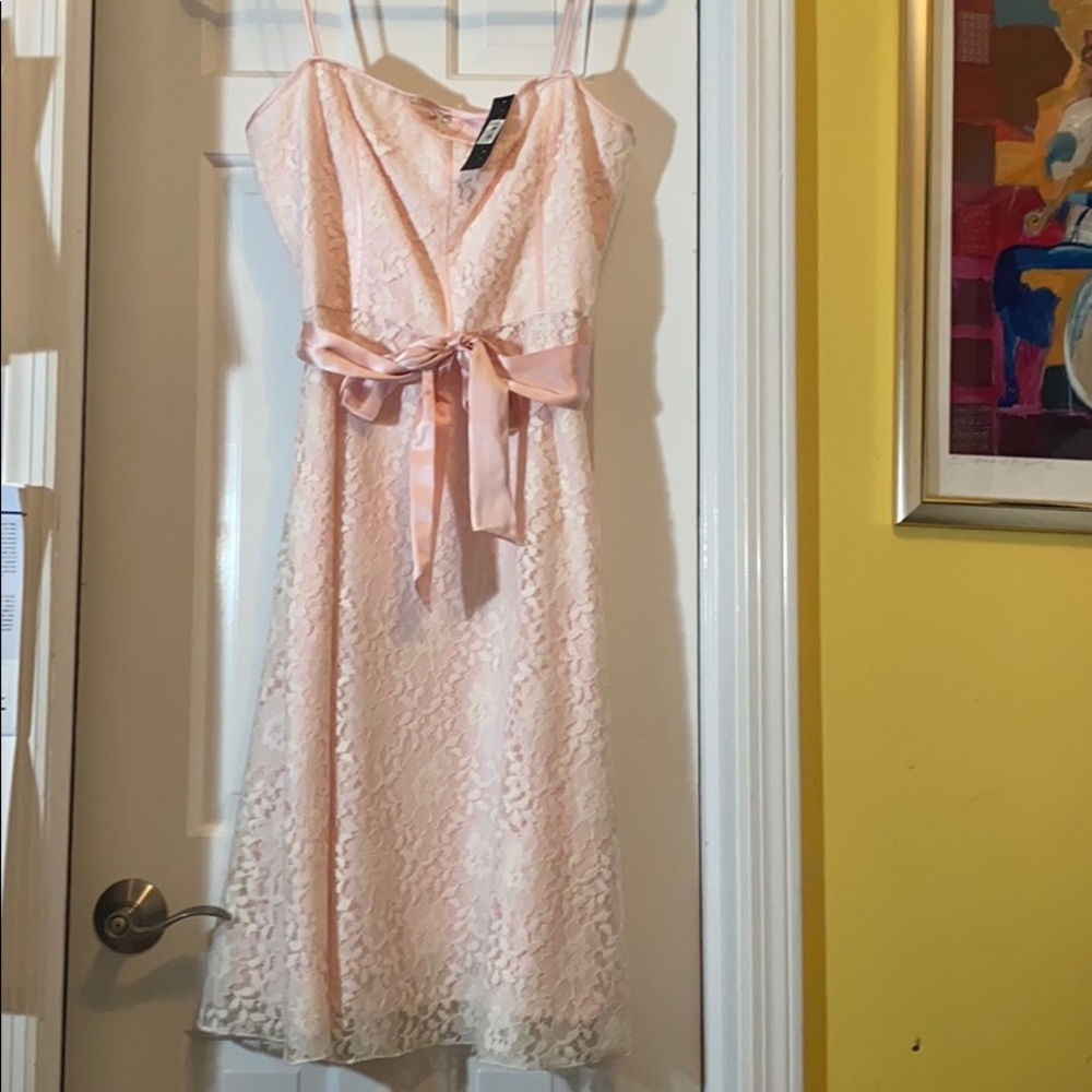 Laundry by shelli segal size 12lace dress NWT